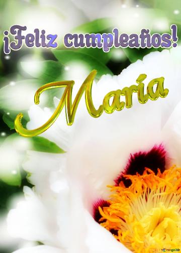 ¡feliz Cumpleaños! María  El Jardín De Los Sueños: Flores Que Nos Invitan A...