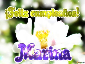 ¡feliz Cumpleaños! Marina  Flores Que Inspiran: Una Invitación A Detenerse Y Admirar