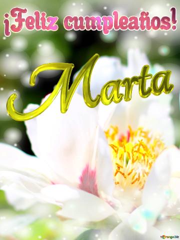 ¡feliz Cumpleaños! Marta  Flores De La Primavera: Una Explosión De Color Para Celebrar