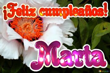 ¡Feliz cumpleaños! Marta 