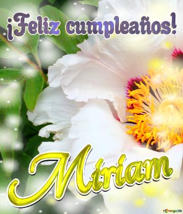 ¡feliz Cumpleaños! Miriam  La Vida En Plenitud: Flores Que Nos Inspiran A Seguir...