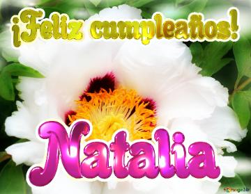 ¡feliz Cumpleaños! Natalia  La Dulzura De La Primavera: Un Fondo Que Te Transporta