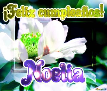 ¡feliz Cumpleaños! Noelia  Flores En Armonía: Una Sinfonía De Colores Y Formas