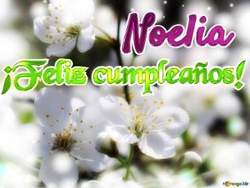¡Feliz cumpleaños! Noelia 