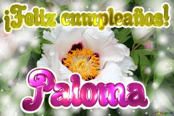 ¡feliz Cumpleaños! Paloma  El Renacer De La Vida: Flores Que Celebran La Resurrección