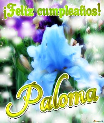 ¡Feliz cumpleaños! Paloma 