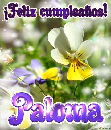 ¡Feliz cumpleaños! Paloma 
