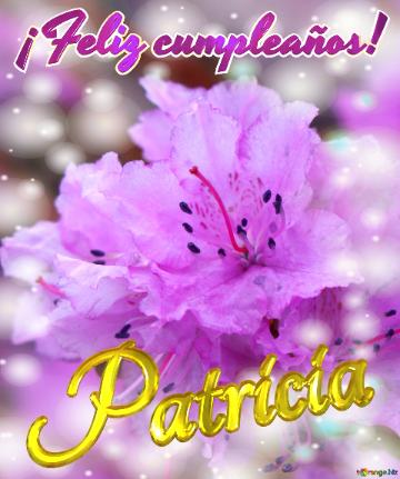 ¡feliz Cumpleaños! Patricia Emoción Floral