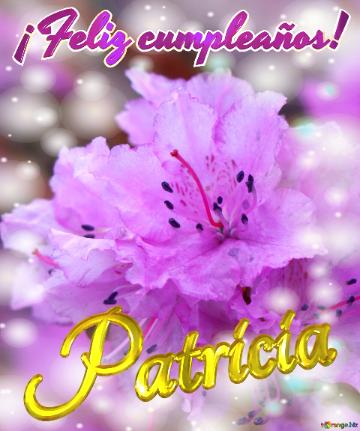 ¡feliz Cumpleaños! Patricia  Emoción Floral