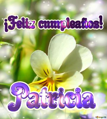 ¡feliz Cumpleaños! Patricia  Sinfonía De Flores