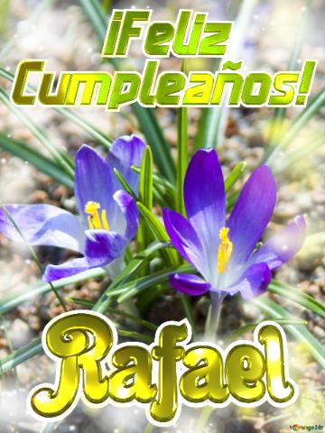      ¡feliz  Cumpleaños! Rafael  Flores Vibrantes