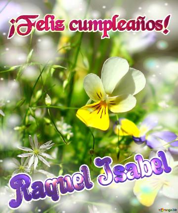 ¡feliz Cumpleaños! Raquel Isabel  Naturaleza En Flor