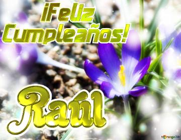      ¡Feliz  Cumpleaños! Raúl  Paisaje de Flores