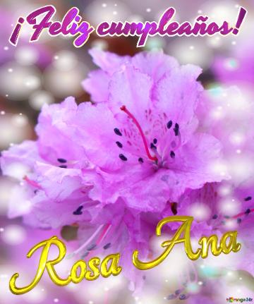 ¡feliz Cumpleaños! Rosa Ana Emoción Floral