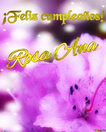 ¡feliz Cumpleaños! Rosa Ana  Flores En Pleno Esplendor