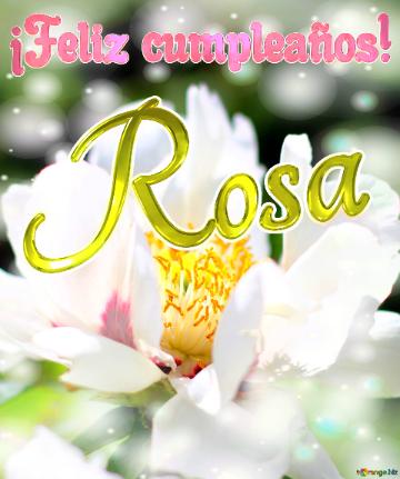 ¡Feliz cumpleaños! Rosa 
