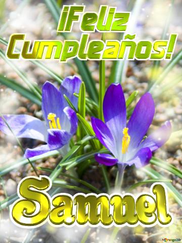      ¡feliz  Cumpleaños! Samuel  Flores Vibrantes