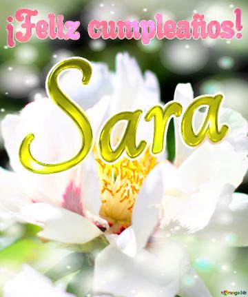 ¡feliz Cumpleaños! Sara  La Belleza Efímera De Las Flores Capturada En Una Imagen