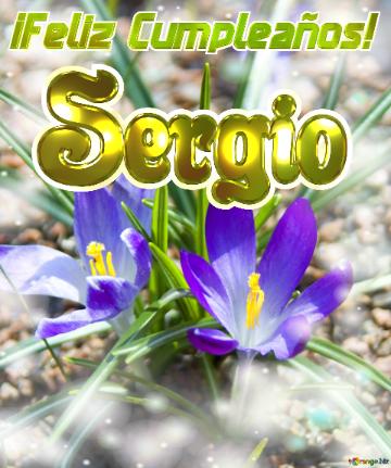 ¡feliz Cumpleaños! Sergio  Primavera En Flor