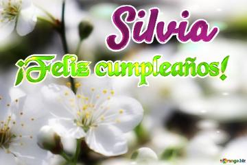 ¡Feliz cumpleaños! Silvia 