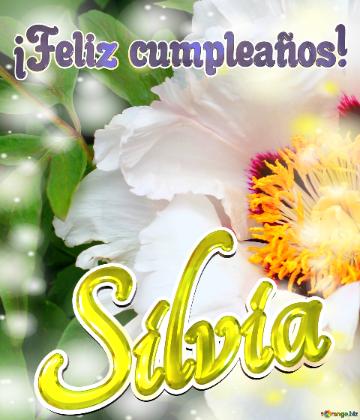 ¡feliz Cumpleaños! Silvia  La Vida En Plenitud: Flores Que Nos Inspiran A Seguir...