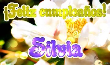 ¡feliz Cumpleaños! Silvia  Un Jardín De Ensueño: Flores Que Te Llevan A Otro Mundo