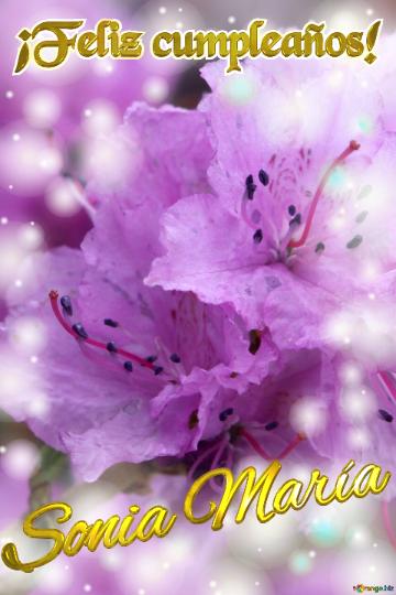 ¡feliz Cumpleaños! Sonia María Pétalos De Ensueño