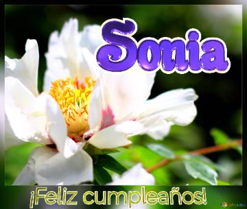 ¡Feliz cumpleaños! Sonia  Un ramo de felicidad: regala flores con este fondo