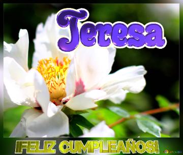 ¡feliz Cumpleaños! Teresa  Un Ramo De Felicidad: Regala Flores Con Este Fondo