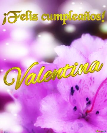 ¡feliz Cumpleaños! Valentina  Flores En Pleno Esplendor