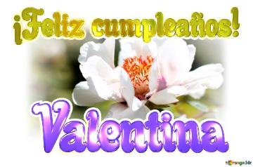 ¡feliz Cumpleaños! Valentina  Un Universo De Detalles: La Perfección De Las Flores En ...