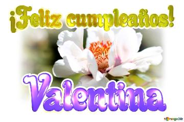 ¡Feliz cumpleaños! Valentina  Un universo de detalles: la perfección de las flores en primer plano