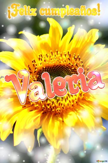 Valeria ¡feliz Cumpleaños! Fondo Para Felicitaciones Girasol