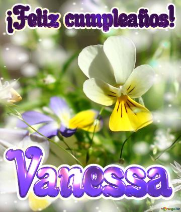 ¡feliz Cumpleaños! Vanessa  Mundo De Flores