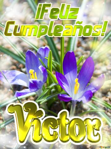      ¡Feliz  Cumpleaños! Víctor  Flores Vibrantes