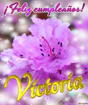 ¡Feliz cumpleaños! Victoria 