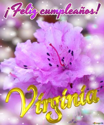 ¡feliz Cumpleaños! Virginia Emoción Floral