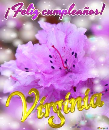 ¡feliz Cumpleaños! Virginia  Emoción Floral