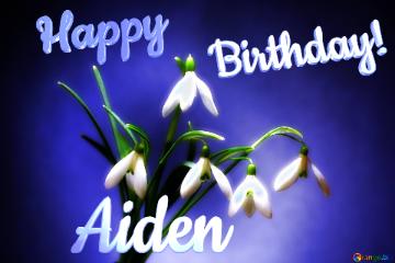 Happy               Birthday! Aiden  Flowers