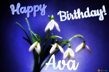 Happy               Birthday! Ava  Flowers