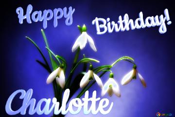 Happy               Birthday! Charlotte  Flowers