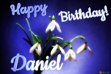 Happy               Birthday! Daniel  Flowers