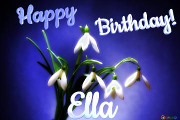 Happy               Birthday! Ella  Flowers