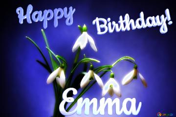 Happy               Birthday! Emma  Flowers