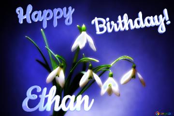 Happy               Birthday! Ethan  Flowers