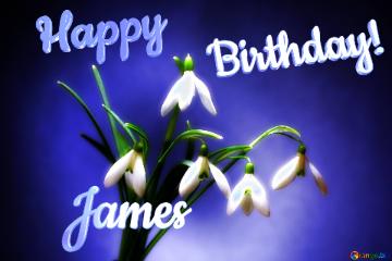 Happy               Birthday! James  Flowers