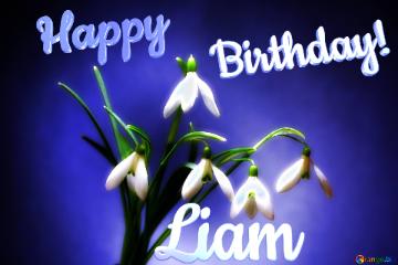 Happy               Birthday! Liam 