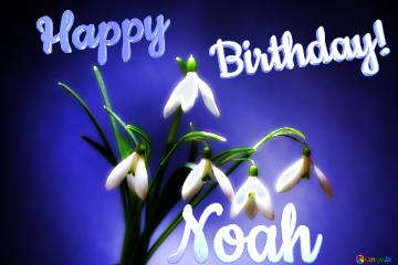 Happy               Birthday! Noah  Flowers