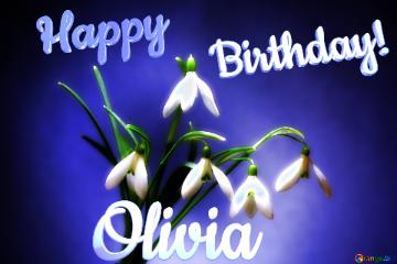 Happy               Birthday! Olivia  Flowers