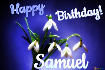 Happy               Birthday! Samuel  Flowers